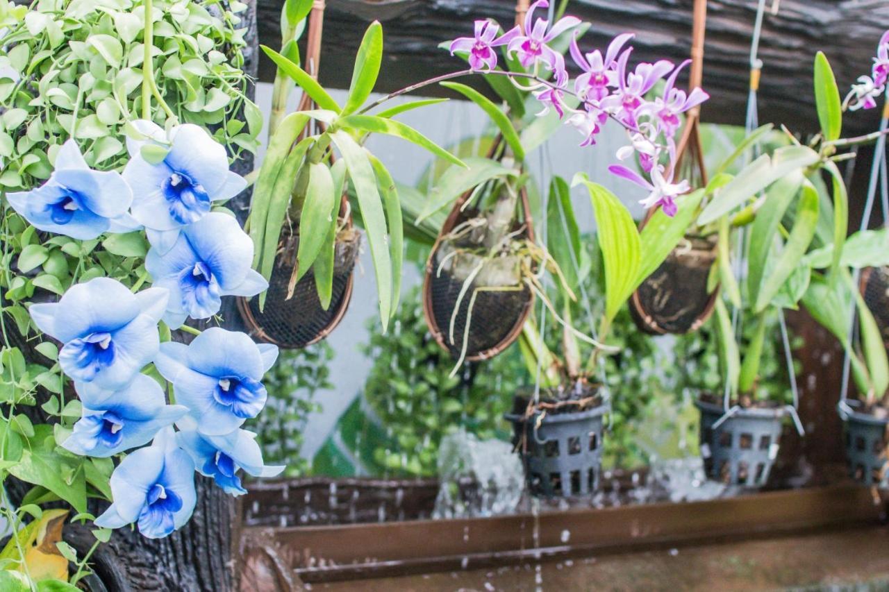 Villa Siam & Spa Bangkok Bagian luar foto